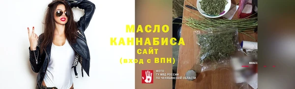 индика Сосновоборск