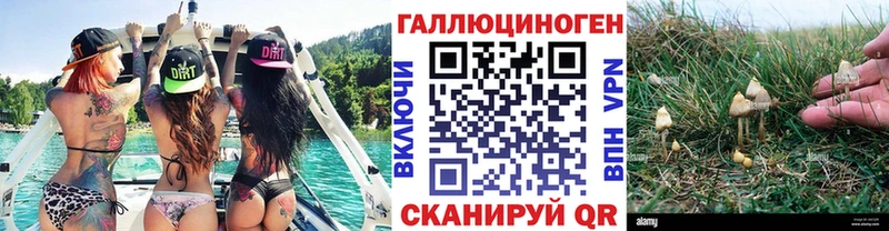 где продают наркотики Козловка ссылка на мегу ссылки Псилоцибиновые грибы прущие грибы